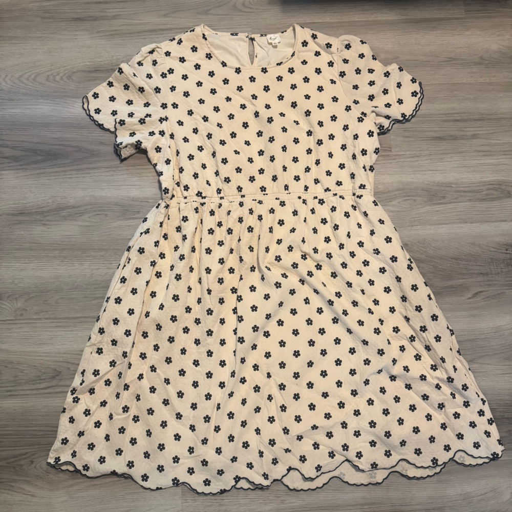 Beryl Women’s 2x Cotton Gauge Cream/Navy Flower print Knee Length Dress NWOT